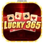 Lucky365 Game